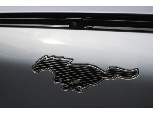 Ford Mustang Mach-E 75kWh AWD | TECHNOLOGY PACK PLUS | PANORAMADAK | 20 INCH VELGEN ActivLease financial lease