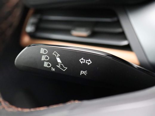 Seat Born Business 62 kWh 231 PK Warmtepomp, Panoramadak, achteruitrijcamera, stuur/stoelverwarming, keyles... ActivLease financial lease