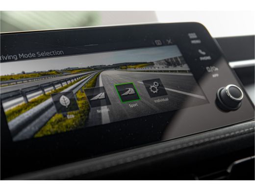 Skoda Fabia ŠKODA Business Edition | Achteruitrijcamera | Chromen raamlijsten | Cruise control met speedlimiter ActivLease financial lease