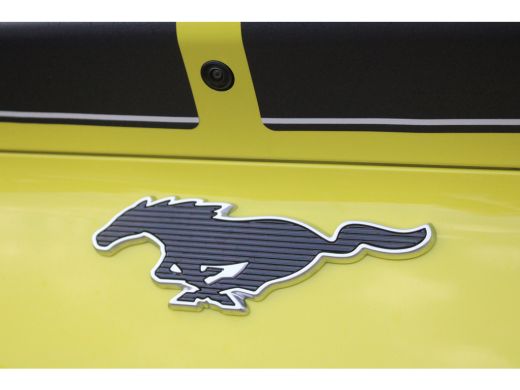 Ford Mustang Mach-E 98kWh Exended Ranget AWD Rally Edition ActivLease financial lease