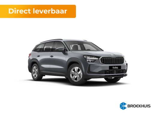 Skoda Kodiaq ŠKODA Business Edition | Achteruitrijcamera | Crew Protect Assist | Cruise control met speedlimiter Skoda Kodiaq ŠKODA Business Edition | Achteruitrijcamera | Crew Protect Assist | Cruise control met speedlimiter