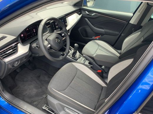 Skoda Kamiq 1.0 TSI 110pk Business Edition | Licht+Zicht | Winterpakket ActivLease financial lease