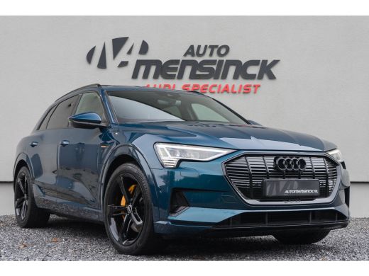 Audi e-tron 50 Quattro / Standkachel/ Luchtvering/ Bang & Olufsen Sound System/ Panoramadak/ 230kW (313PK) Audi e-tron 50 Quattro / Standkachel/ Luchtvering/ Bang & Olufsen Sound System/ Panoramadak/ 230kW (313PK)