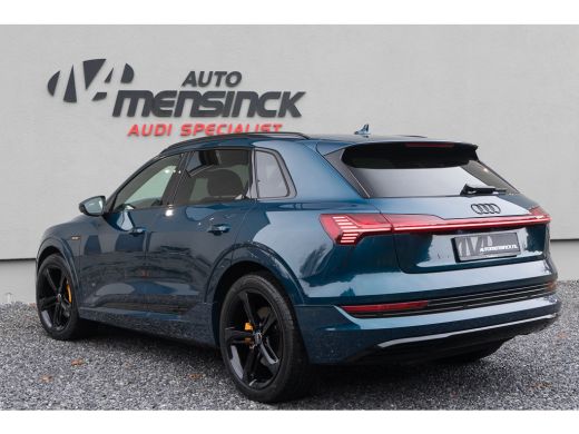 Audi e-tron 50 Quattro / Standkachel/ Luchtvering/ Bang & Olufsen Sound System/ Panoramadak/ 230kW (313PK) ActivLease financial lease