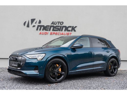 Audi e-tron 50 Quattro / Standkachel/ Luchtvering/ Bang & Olufsen Sound System/ Panoramadak/ 230kW (313PK) ActivLease financial lease