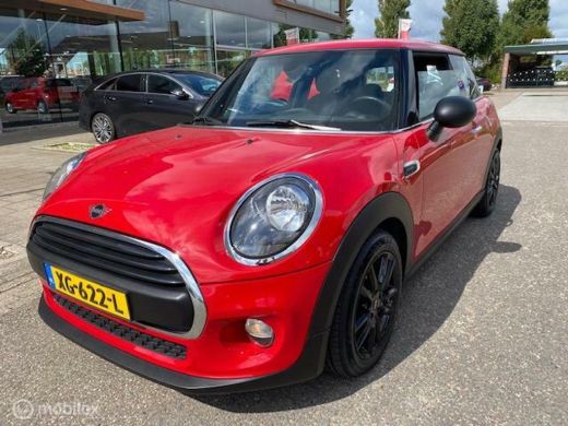 Mini Mini 1.5 Mini First Pepper ActivLease financial lease