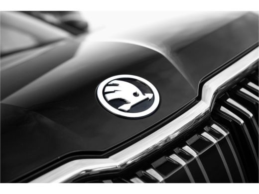 Skoda Kodiaq 2.0TSI 190pk | 4WD | Panodak | Leer | Trekhaak | 7-Persoons | ActivLease financial lease