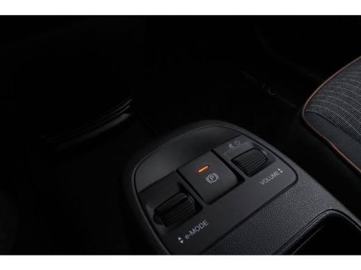 Fiat 500 Fiat Icon 24 kWh | Navigatie | Lichtmetalen velgen 16" | Navigatiesysteem full map ActivLease financial lease