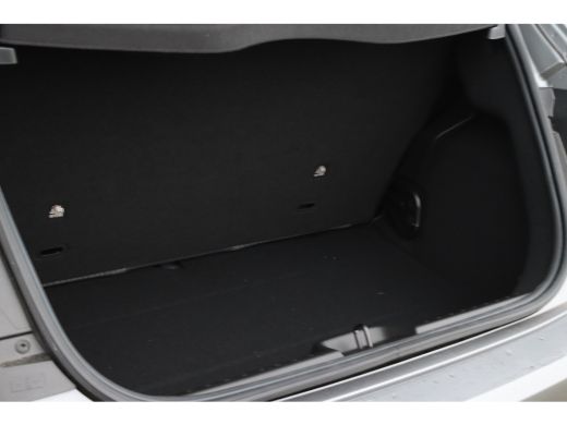 Fiat 500 Fiat Icon 24 kWh | Navigatie | Lichtmetalen velgen 16" | Navigatiesysteem full map ActivLease financial lease
