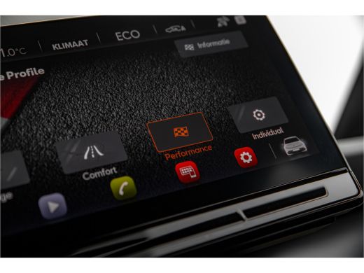 Seat Born Business One 62 kWh | Camera | Carplay | Navigatie | Stuur- en stoelverwarming ActivLease financial lease
