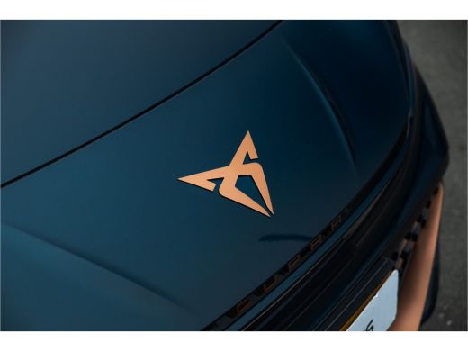 Seat Born Business One 62 kWh | Camera | Carplay | Navigatie | Stuur- en stoelverwarming ActivLease financial lease