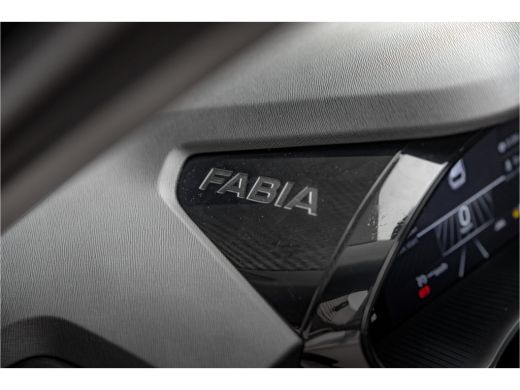 Skoda Fabia ŠKODA Business Edition | Achteruitrijcamera | Chromen raamlijsten | Cruise control met speedlimiter ActivLease financial lease