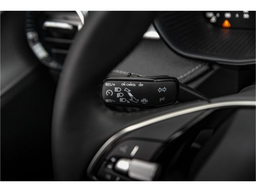 Skoda Fabia ŠKODA Business Edition | Achteruitrijcamera | Chromen raamlijsten | Cruise control met speedlimiter ActivLease financial lease