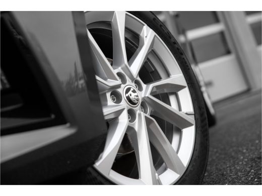 Skoda Fabia ŠKODA Business Edition | Achteruitrijcamera | Chromen raamlijsten | Cruise control met speedlimiter ActivLease financial lease