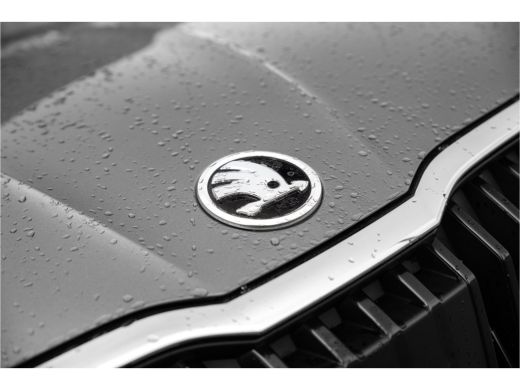 Skoda Fabia ŠKODA Business Edition | Achteruitrijcamera | Chromen raamlijsten | Cruise control met speedlimiter ActivLease financial lease