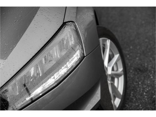 Skoda Fabia ŠKODA Business Edition | Achteruitrijcamera | Chromen raamlijsten | Cruise control met speedlimiter ActivLease financial lease