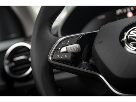 Skoda Fabia ŠKODA Business Edition | Achteruitrijcamera | Chromen raamlijsten | Cruise control met speedlimiter ActivLease financial lease