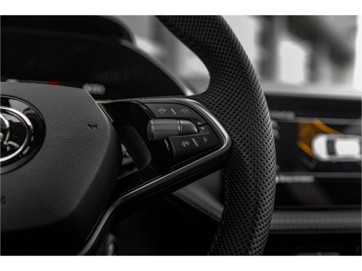 Skoda Fabia 1.0 TSI Monte Carlo ActivLease financial lease