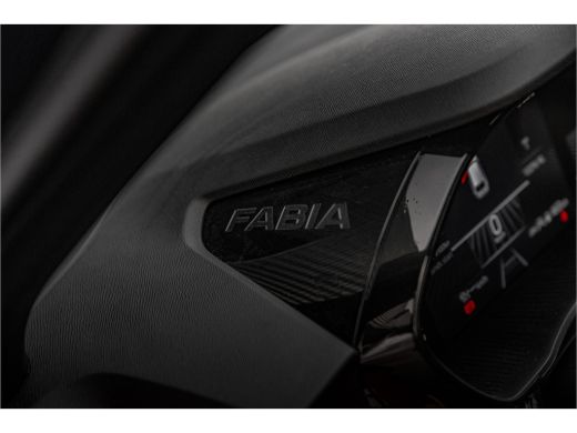 Skoda Fabia 1.0 TSI Monte Carlo ActivLease financial lease