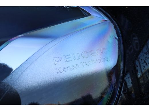 Peugeot Expert 2.0 BlueHDI 180 Long Asphalt DC ActivLease financial lease