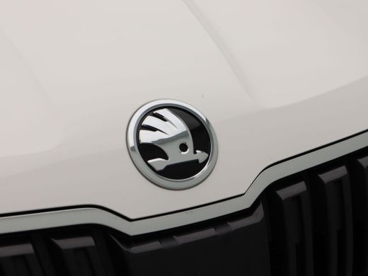 Skoda Karoq 1.5 TSi 150 Pk Automaat Style Business | Navigatie | Airco | Cruise Controle | 17 Inch | Privacy ... ActivLease financial lease