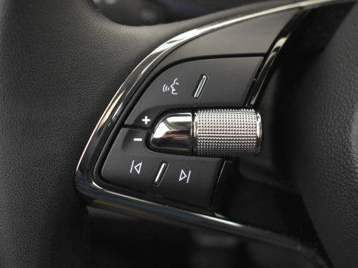 Skoda Fabia 1.0 MPI Ambition 81pk | Navi via app | Cruise control | App connect | Privacy glass | Led koplamp... ActivLease financial lease