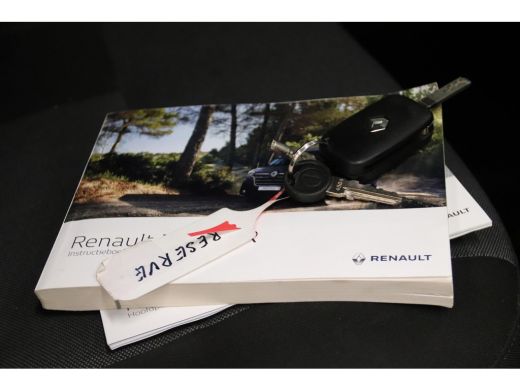 Renault Master Sodiak Paardenwagen FINANCIAL LEASE 675 EURO PM Renault Master Paardenwagen FINANCIAL LEASE 675 E... ActivLease financial lease