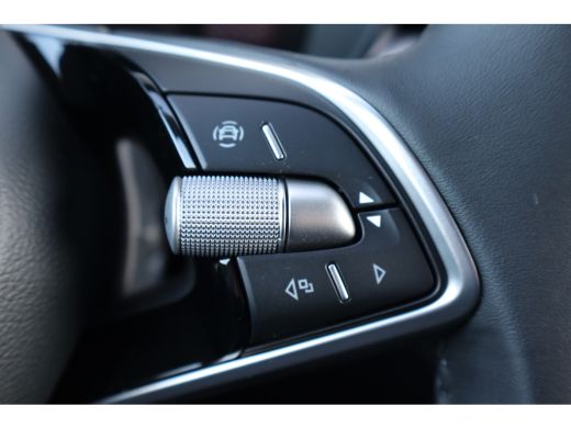 Skoda Fabia ŠKODA Business Edition | Achteruitrijcamera | Chromen raamlijsten | Cruise control met speedlimiter ActivLease financial lease