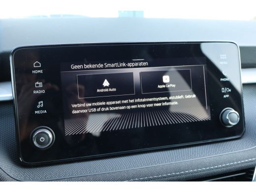 Skoda Fabia ŠKODA Business Edition | Achteruitrijcamera | Chromen raamlijsten | Cruise control met speedlimiter ActivLease financial lease
