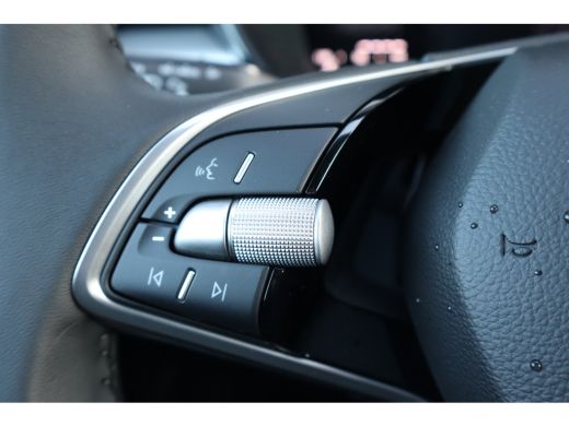 Skoda Fabia ŠKODA Business Edition | Achteruitrijcamera | Chromen raamlijsten | Cruise control met speedlimiter ActivLease financial lease