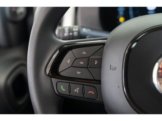 Fiat Panda Fiat 1.0 Hybrid Pandina | Apple Carplay & Android Auto | Parkeersensoren | Airco | Style Wielen | ActivLease financial lease
