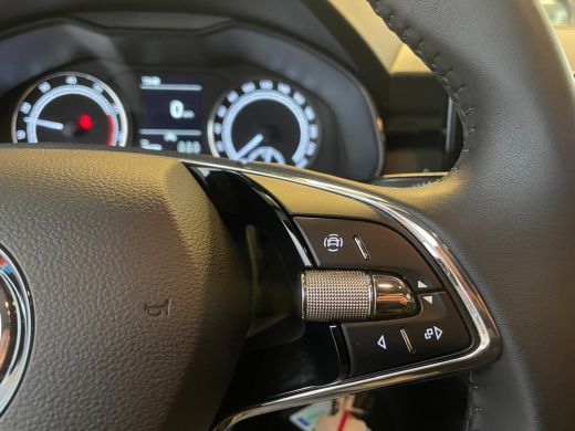 Skoda Kamiq 1.0 110PK TSI Ambition ActivLease financial lease