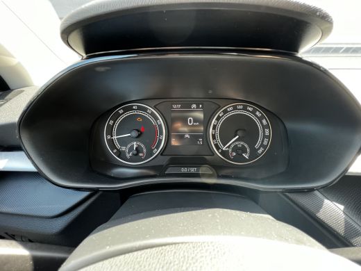 Skoda Fabia 1.0 TSI 110 7DSG Ambition | Airconditioning | Chromen grille | Cruise control met speedlimiter ActivLease financial lease