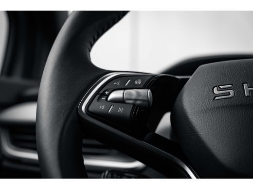 Skoda Elroq 85 Business Edition ActivLease financial lease