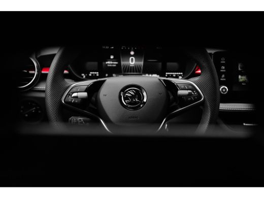 Skoda Fabia 1.0 TSI Monte Carlo ActivLease financial lease