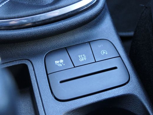 Ford Fiesta 1.0 EcoBoost Titanium | Lichtmetalen Velgen | CarPlay/Android Auto | Parkeersensoren | Cruise Con... ActivLease financial lease