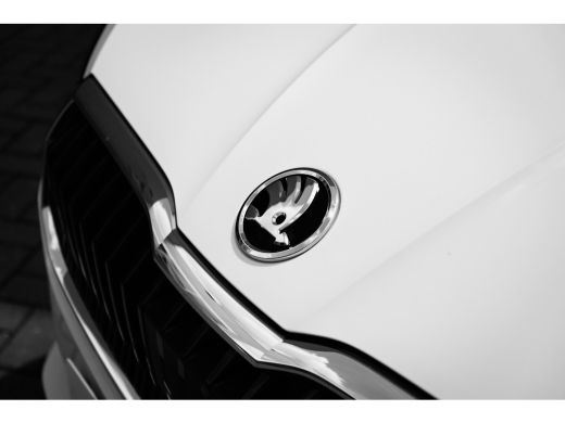 Skoda Fabia Selection Inclusief €3000,- inruilvoordeel | Airconditioning | Cruise control met speedlimiter | ... ActivLease financial lease