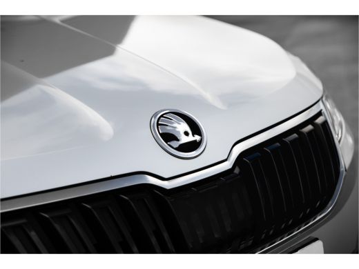 Skoda Karoq 1.5 TSI ACT Business Edition Plus | Trekhaak | Adapt. Cruise | Camera | Carplay ActivLease financial lease