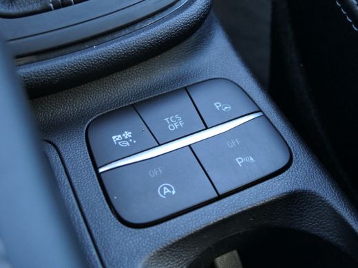 Ford Fiesta Ford 1.0 EcoBoost Vignale Automaat | Leder | B&O | Camera | Winterpack | Adaptive Cruise | BLIS |... ActivLease financial lease