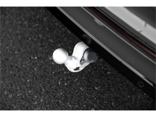 Volkswagen Tiguan 2.0TSi 190pk 4-Motion | R-line | Panorama dak | Navi | Trekhaak | ActivLease financial lease