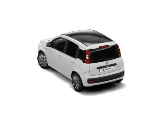 Fiat Panda Fiat Urban ActivLease financial lease
