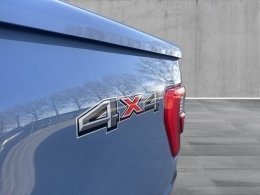 Ford F-150 PLATINUM V6 |NIGHT EDITION| incl. Tonneau cover in carroseriekleur | LPG | Trekhaak 13polig | Nie... ActivLease financial lease