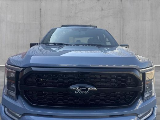 Ford F-150 PLATINUM V6 |NIGHT EDITION| incl. Tonneau cover in carroseriekleur | LPG | Trekhaak 13polig | Nie... ActivLease financial lease