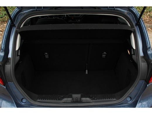 Ford Fiesta 1.0EB HYBRID TITANIUM | ORIGINEEL NL! | DEALER OH! | CARPLAY | PARK SENSOR | CRUISE ActivLease financial lease