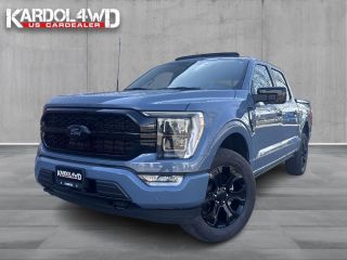 Ford F-150 PLATINUM V6 |NIGHT EDITION| incl. Tonneau cover in carroseriekleur | LPG | Trekhaak 13polig | Nie...