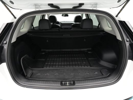 Kia e-Niro ExecutiveLine 64 kWh Schuifdak Stoelventilatie Camera Navigatie 180 ActivLease financial lease