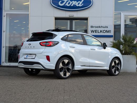 Ford Puma 1.0 EcoB Hybrid ST-Line X Panoramadak | 360 Camera | 19 Inch LMV ActivLease financial lease