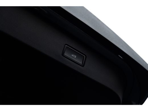 Seat Tavascan VZ Adrenaline | Sennheiser | Smart Ambient Light | Dynamic chassis control | Panoramadak | 'Augme... ActivLease financial lease