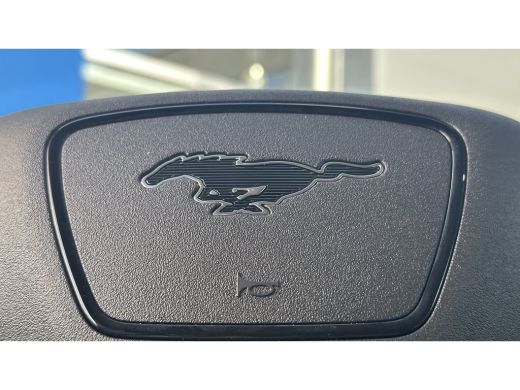 Ford Mustang Mach-E Extended RWD 98 kWh | Apple CarPlay/Android Auto | Cruise control adaptief met Stop&Go en ... ActivLease financial lease