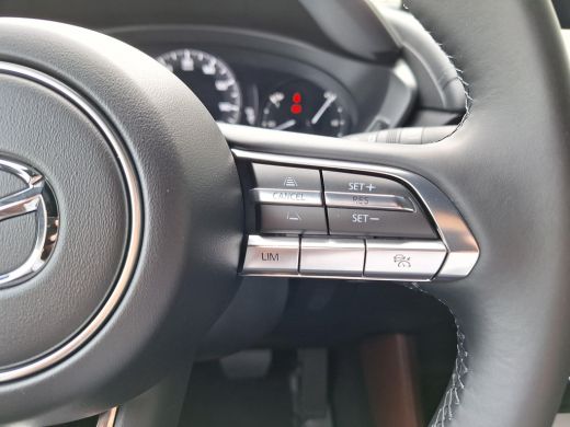 Mazda MX-30 e-SkyActiv R-EV 170 Makoto ActivLease financial lease